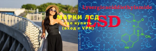 стафф Вязьма