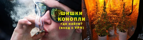 стафф Вязьма