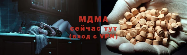 прущие грибы Вязники