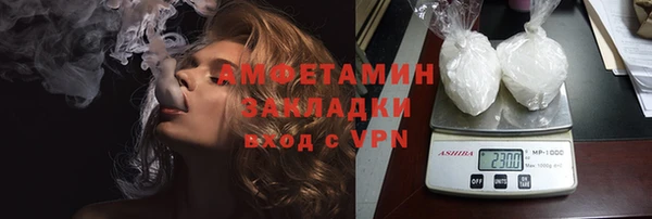 прущие грибы Вязники