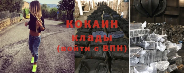 прущие грибы Вязники