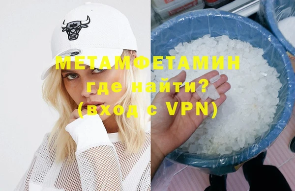 прущие грибы Вязники