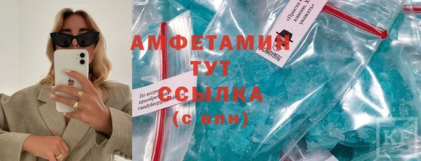 прущие грибы Вязники