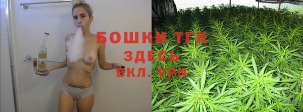 стафф Вязьма