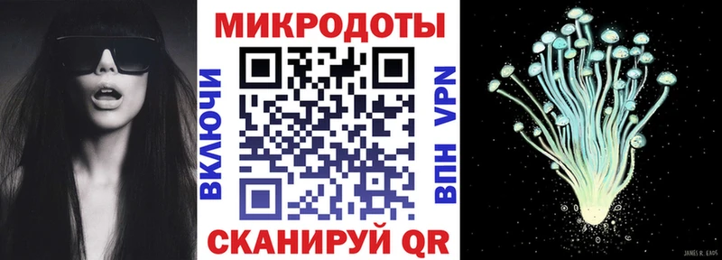 Псилоцибиновые грибы прущие грибы  Каменногорск 