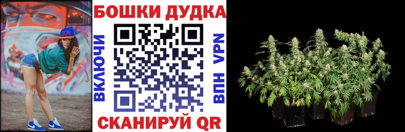 Конопля гибрид  KRAKEN онион  Каменногорск 